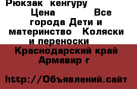 Рюкзак -кенгуру Baby Bjorn  › Цена ­ 2 000 - Все города Дети и материнство » Коляски и переноски   . Краснодарский край,Армавир г.